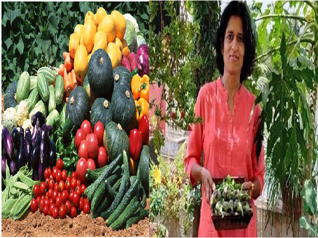 Soilless Gardening Women of Pune doing gardening without soil in Hindi